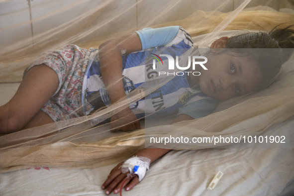 Bangladeshi child dengue patients covered with a mosquito net suffer from dengue fever as they receive treatment at a Hospital in Dhaka, Ban...