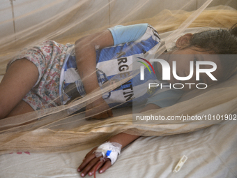 Bangladeshi child dengue patients covered with a mosquito net suffer from dengue fever as they receive treatment at a Hospital in Dhaka, Ban...