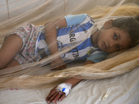 Bangladeshi child dengue patients covered with a mosquito net suffer from dengue fever as they receive treatment at a Hospital in Dhaka, Ban...