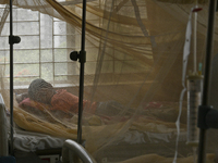 Bangladeshi child dengue patients covered with a mosquito net suffer from dengue fever as they receive treatment at a Hospital in Dhaka, Ban...