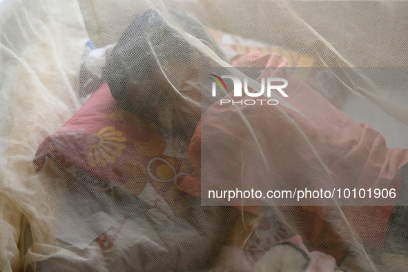 Bangladeshi child dengue patients covered with a mosquito net suffer from dengue fever as they receive treatment at a Hospital in Dhaka, Ban...