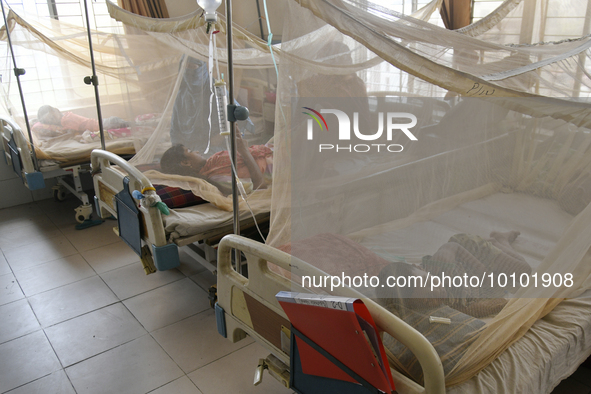 Bangladeshi child dengue patients covered with a mosquito net suffer from dengue fever as they receive treatment at a Hospital in Dhaka, Ban...