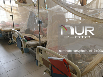 Bangladeshi child dengue patients covered with a mosquito net suffer from dengue fever as they receive treatment at a Hospital in Dhaka, Ban...