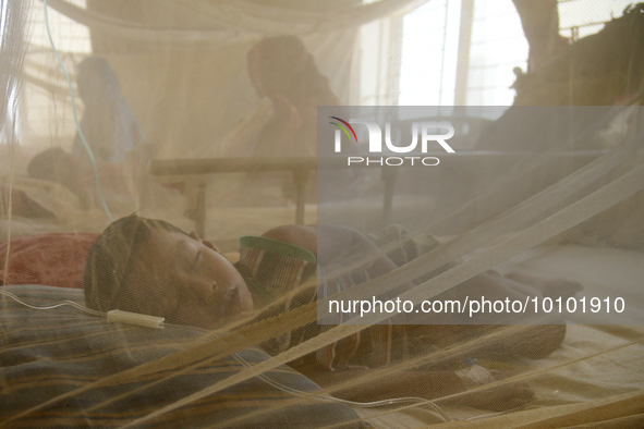 Bangladeshi child dengue patients covered with a mosquito net suffer from dengue fever as they receive treatment at a Hospital in Dhaka, Ban...