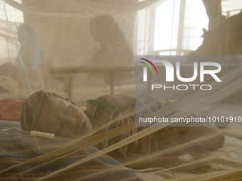 Bangladeshi child dengue patients covered with a mosquito net suffer from dengue fever as they receive treatment at a Hospital in Dhaka, Ban...