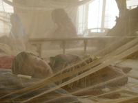 Bangladeshi child dengue patients covered with a mosquito net suffer from dengue fever as they receive treatment at a Hospital in Dhaka, Ban...