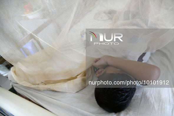 Bangladeshi child dengue patients covered with a mosquito net suffer from dengue fever as they receive treatment at a Hospital in Dhaka, Ban...