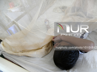 Bangladeshi child dengue patients covered with a mosquito net suffer from dengue fever as they receive treatment at a Hospital in Dhaka, Ban...