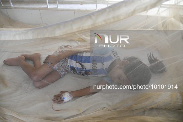 Bangladeshi child dengue patients covered with a mosquito net suffer from dengue fever as they receive treatment at a Hospital in Dhaka, Ban...