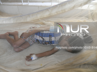 Bangladeshi child dengue patients covered with a mosquito net suffer from dengue fever as they receive treatment at a Hospital in Dhaka, Ban...