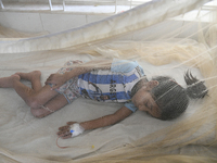 Bangladeshi child dengue patients covered with a mosquito net suffer from dengue fever as they receive treatment at a Hospital in Dhaka, Ban...