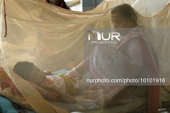 Bangladeshi child dengue patients covered with a mosquito net suffer from dengue fever as they receive treatment at a Hospital in Dhaka, Ban...