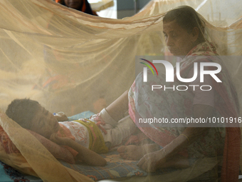 Bangladeshi child dengue patients covered with a mosquito net suffer from dengue fever as they receive treatment at a Hospital in Dhaka, Ban...