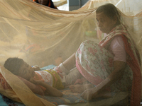 Bangladeshi child dengue patients covered with a mosquito net suffer from dengue fever as they receive treatment at a Hospital in Dhaka, Ban...