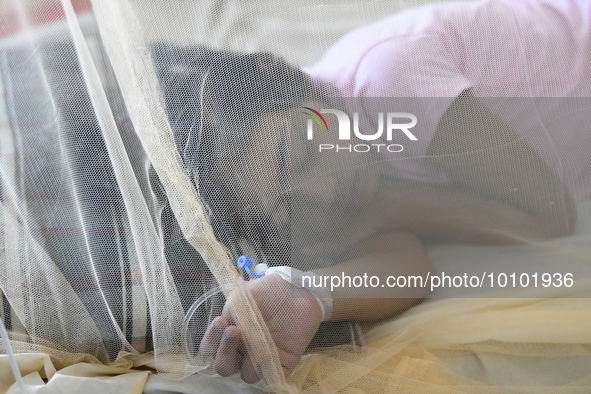 Bangladeshi child dengue patients covered with a mosquito net suffer from dengue fever as they receive treatment at a Hospital in Dhaka, Ban...