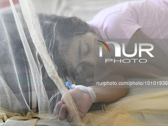 Bangladeshi child dengue patients covered with a mosquito net suffer from dengue fever as they receive treatment at a Hospital in Dhaka, Ban...