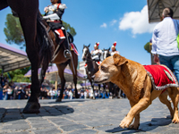 
The Carabinieri fanfare parades with its mascot Briciola in Rome on June 2, 2023 on the occasion of the parade for the 77th Italian Republi...