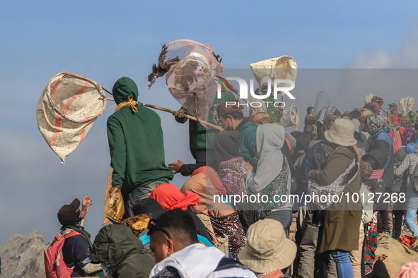 PROBOLINGGO, INDONESIA - JUNE 5: Tenggerese walk and hike carrying agricultural products and livestock to be sacrificed during the Yadnya Ka...