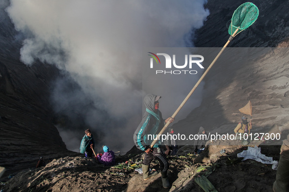 PROBOLINGGO, INDONESIA - JUNE 5: Tenggerese walk and hike carrying agricultural products and livestock to be sacrificed during the Yadnya Ka...