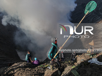 PROBOLINGGO, INDONESIA - JUNE 5: Tenggerese walk and hike carrying agricultural products and livestock to be sacrificed during the Yadnya Ka...