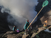 PROBOLINGGO, INDONESIA - JUNE 5: Tenggerese walk and hike carrying agricultural products and livestock to be sacrificed during the Yadnya Ka...