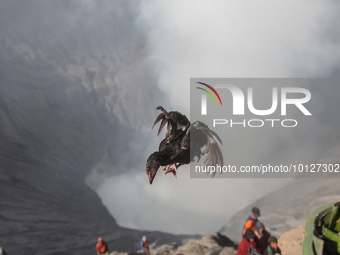 PROBOLINGGO, INDONESIA - JUNE 5: Tenggerese walk and hike carrying agricultural products and livestock to be sacrificed during the Yadnya Ka...