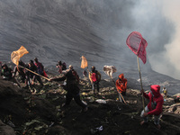 PROBOLINGGO, INDONESIA - JUNE 5: Tenggerese walk and hike carrying agricultural products and livestock to be sacrificed during the Yadnya Ka...