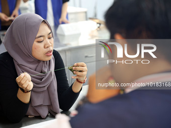 Foreign students make perfume sachets at the School of International Education at Nantong Vocational College of Science and Technology in Na...