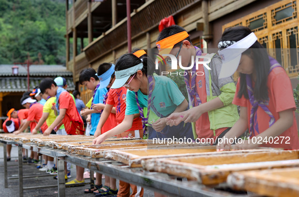 

Primary school students from Shanghai are experiencing making herbal paper at an ancient papermaking workshop in Shiqiao village, Nangao T...