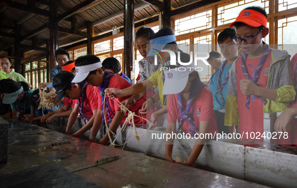 

Primary school students from Shanghai are experiencing ancient papermaking skills in Shiqiao Village, Nangao Township, Danzhai County, Qia...