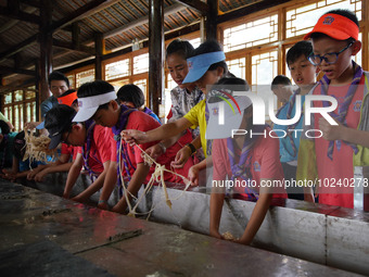 

Primary school students from Shanghai are experiencing ancient papermaking skills in Shiqiao Village, Nangao Township, Danzhai County, Qia...