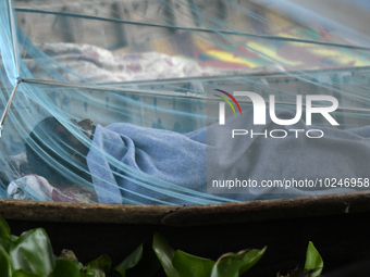 A boatman sleeps under a mosquito net on his boat to protect himself from dengue at the bank of the Buriganga River in Dhaka, Bangladesh, on...