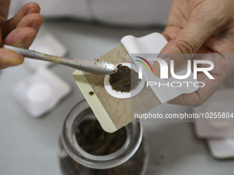 

A medical worker is preparing traditional Chinese medicine Sanfu stickers in Huai'an City, Jiangsu Province, China on July 11, 2023. Sanfu...