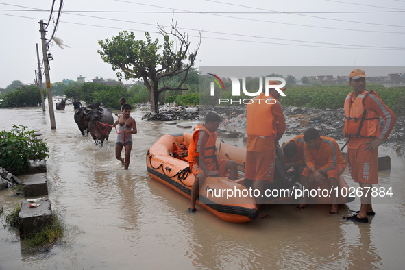 Men carry their livestock out of a flooded residential locality while NDRF personnel prepare a boat to rescue stranded residents, after a ri...