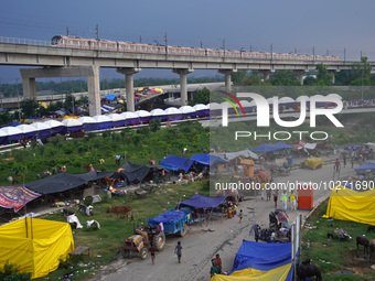 A metro train moves on a bridge as residents take shelter in a relief camp, after a rise in the waters of river Yamuna due to heavy monsoon...