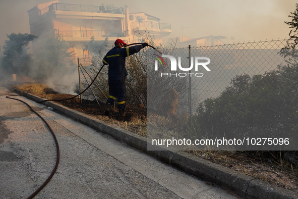 Fireman is fighting the fire  during a wildfire in southern urban of Attica, Greece, on 17, July 2023. Fire fighting forces battling a blaze...