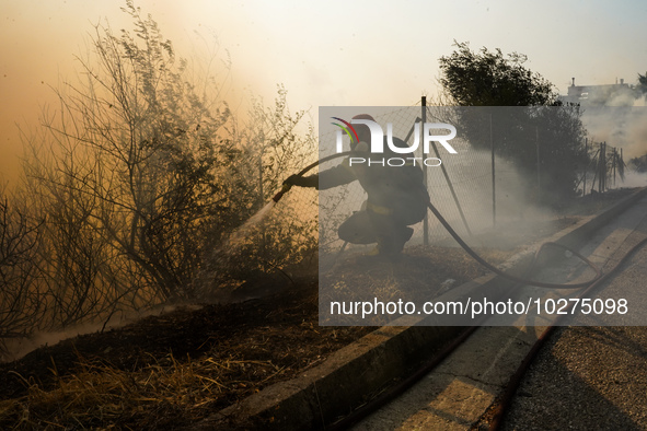 Fireman is fighting the fire  during a wildfire in southern urban of Attica, Greece, on 17, July 2023. Fire fighting forces battling a blaze...