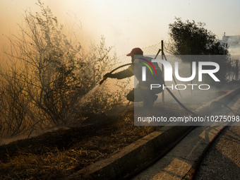 Fireman is fighting the fire  during a wildfire in southern urban of Attica, Greece, on 17, July 2023. Fire fighting forces battling a blaze...