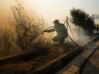 Fireman is fighting the fire  during a wildfire in southern urban of Attica, Greece, on 17, July 2023. Fire fighting forces battling a blaze...