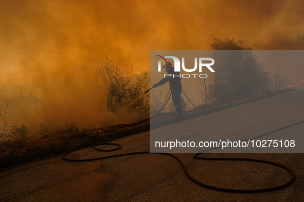 Fireman is fighting the fire  during a wildfire in southern urban of Attica, Greece, on 17, July 2023. Fire fighting forces battling a blaze...