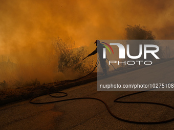 Fireman is fighting the fire  during a wildfire in southern urban of Attica, Greece, on 17, July 2023. Fire fighting forces battling a blaze...