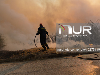 Fireman  during a wildfire in southern urban of Attica, Greece, on 17, July 2023. Fire fighting forces battling a blaze that broke out on Mo...