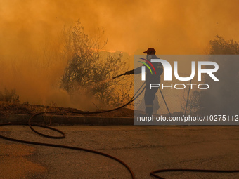 Fireman during a wildfire in southern urban of Attica, Greece, on 17, July 2023. Fire fighting forces battling a blaze that broke out on Mon...