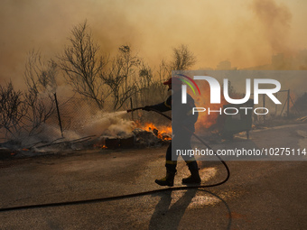 Fireman during a wildfire in southern urban of Attica, Greece, on 17, July 2023. Fire fighting forces battling a blaze that broke out on Mon...