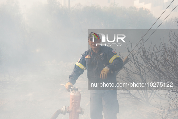 Fireman is fighting the fire  during a wildfire in southern urban of Attica, Greece, on 17, July 2023. Fire fighting forces battling a blaze...