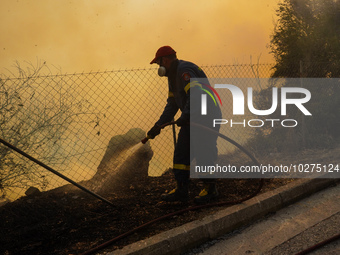 Fireman is fighting the fire  during a wildfire in southern urban of Attica, Greece, on 17, July 2023. Fire fighting forces battling a blaze...