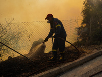 Fireman is fighting the fire  during a wildfire in southern urban of Attica, Greece, on 17, July 2023. Fire fighting forces battling a blaze...