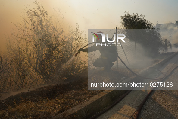 Fireman is fighting the fire  during a wildfire in southern urban of Attica, Greece, on 17, July 2023. Fire fighting forces battling a blaze...