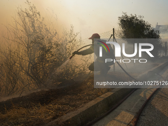 Fireman is fighting the fire  during a wildfire in southern urban of Attica, Greece, on 17, July 2023. Fire fighting forces battling a blaze...