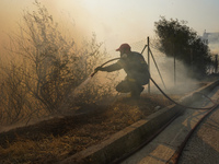 Fireman is fighting the fire  during a wildfire in southern urban of Attica, Greece, on 17, July 2023. Fire fighting forces battling a blaze...